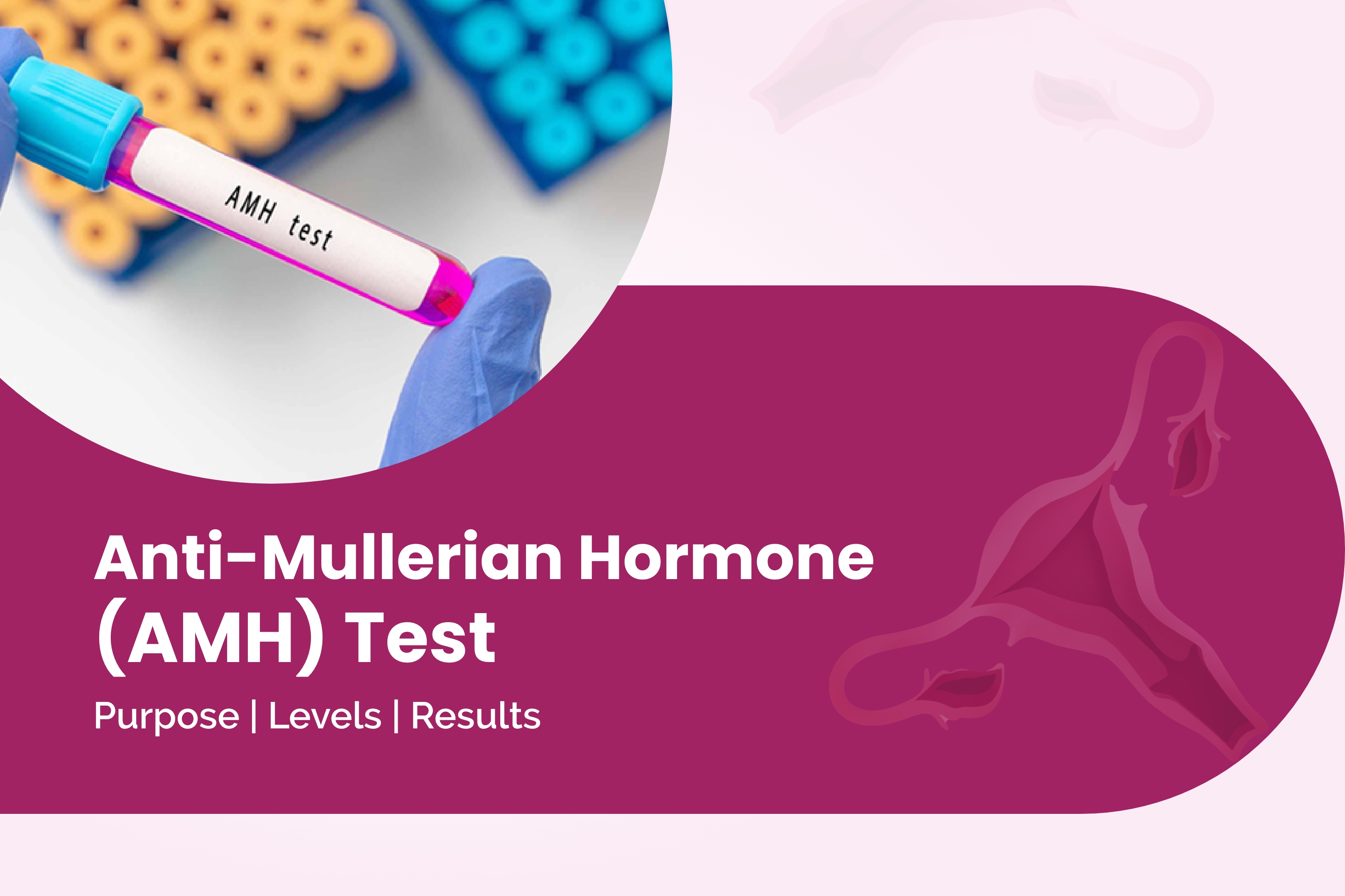 Anti-Mullerian Hormone (AMH) Test: Purpose, Levels & Results