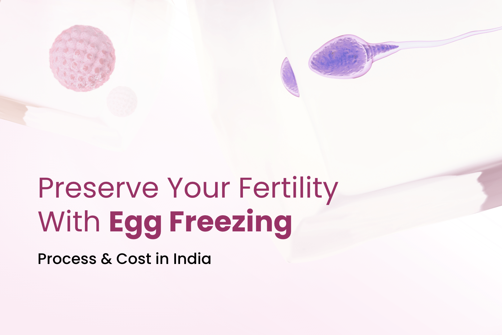 Egg Freezing Process & Cost in India | Best Fertility Centre For You