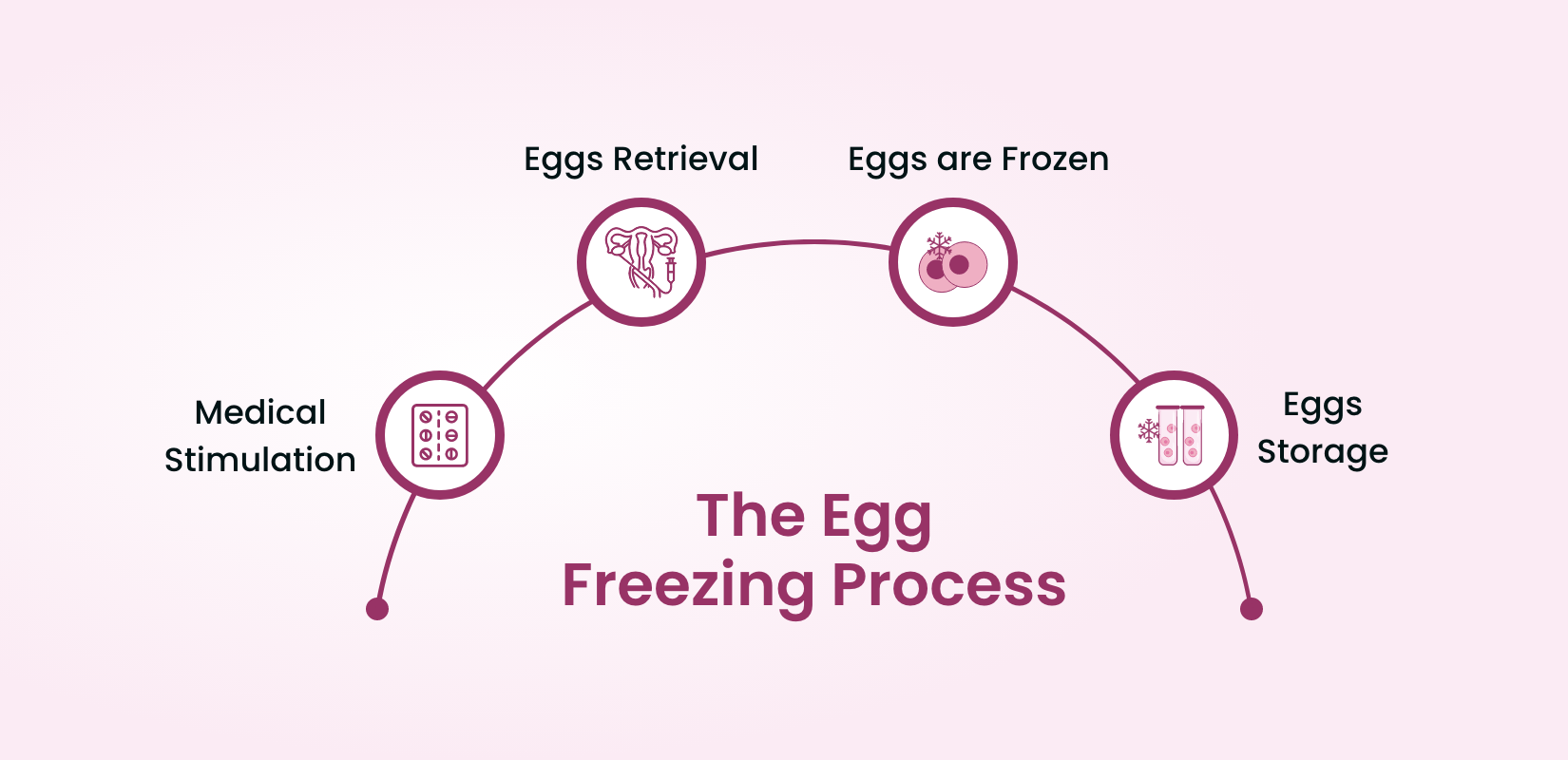 The Egg Freezing Process