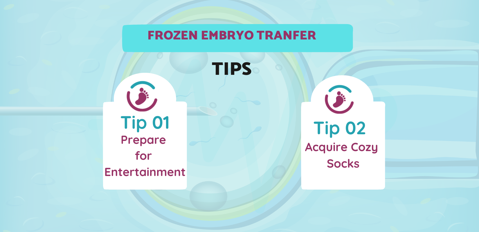 Frozen Embryo Transfer Tips 