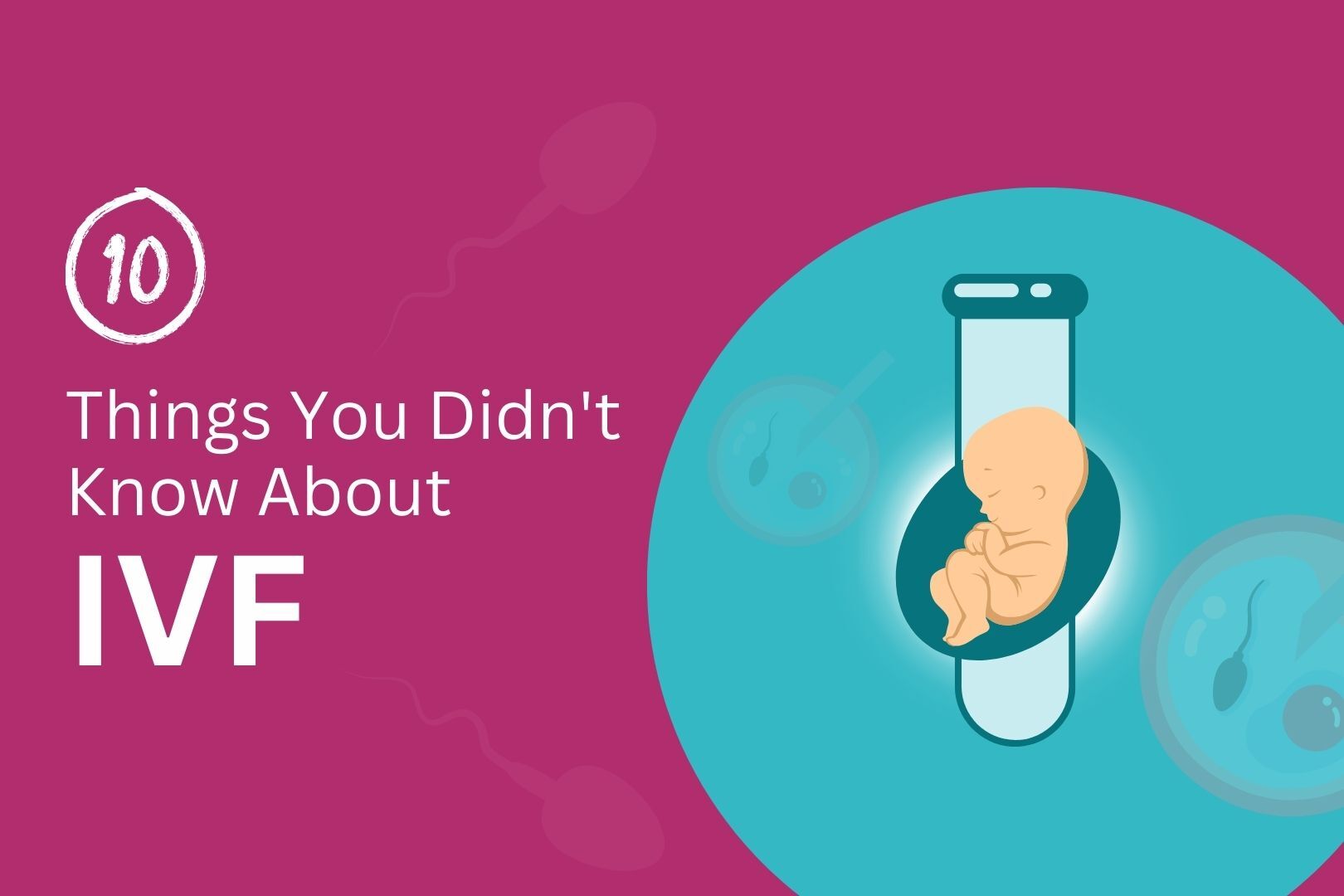 10 Things You Didn't Know About IVF