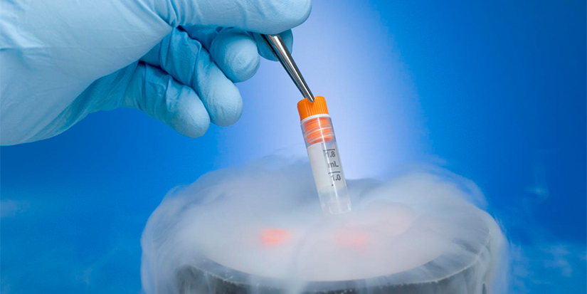 What-Is-Vitrification-and-How-Does-It-Revolutionize-Embryo-and-Egg-Freezing?