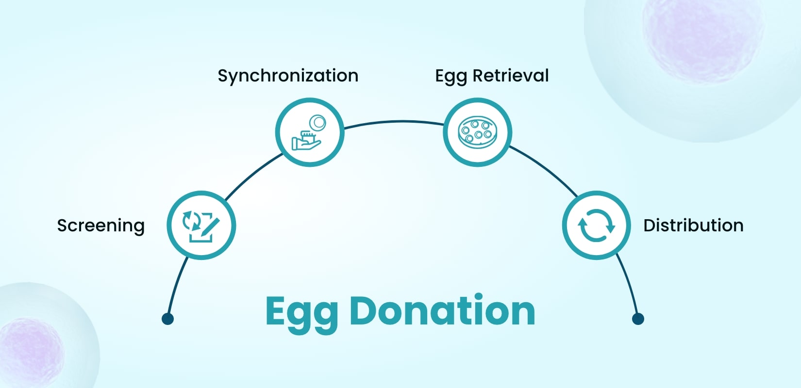 Egg Donation: