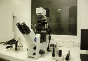 IVF Lab Image5