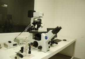 IVF Lab Image6