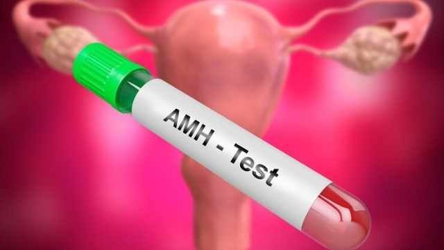 low-amh-vs-egg-quality-what-matters-more-for-ivf-success