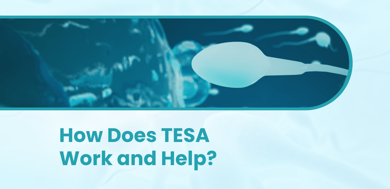 How Does TESA Work and Help?