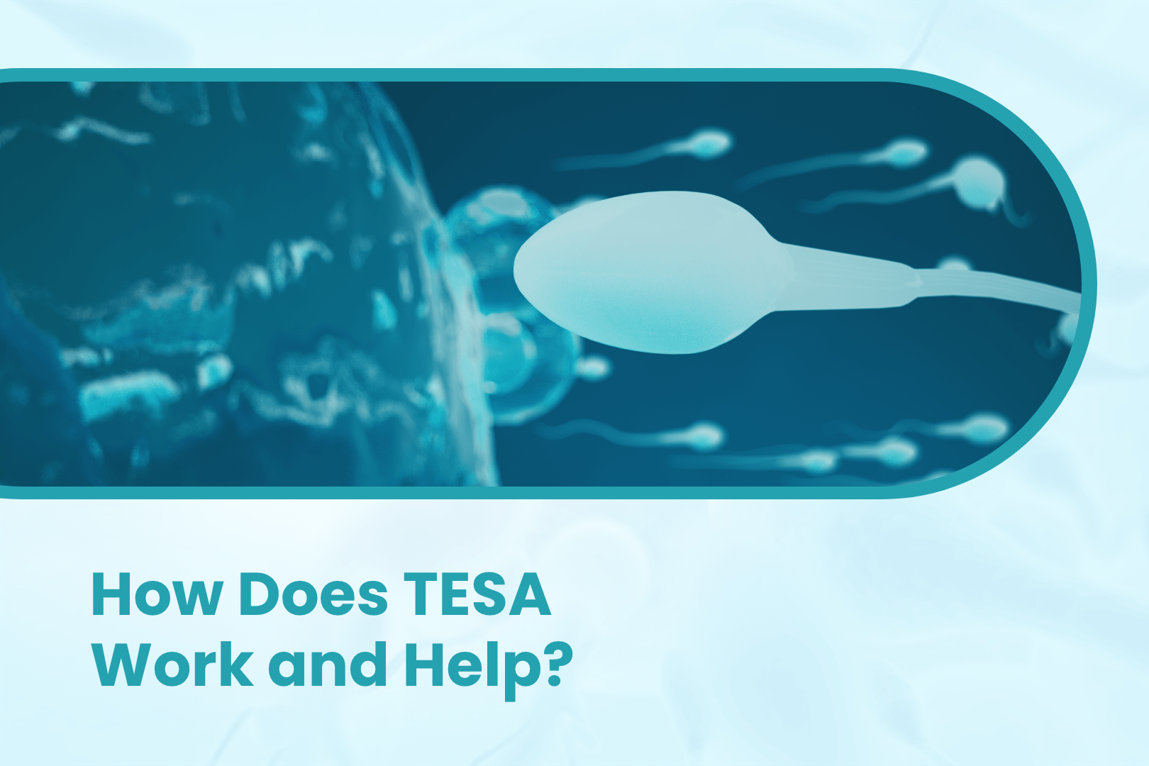 How Does TESA Work and Help?